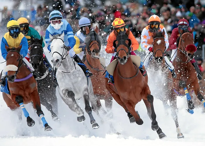 Hotel Bernina 1865 By Kleos Group Collection